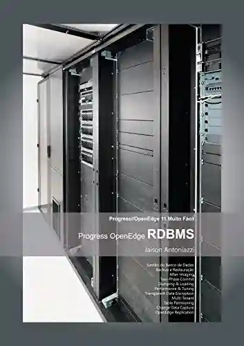 Livro PDF Progress OpenEdge RDBMS (Progress OpenEdge Muito Fácil Livro 1)