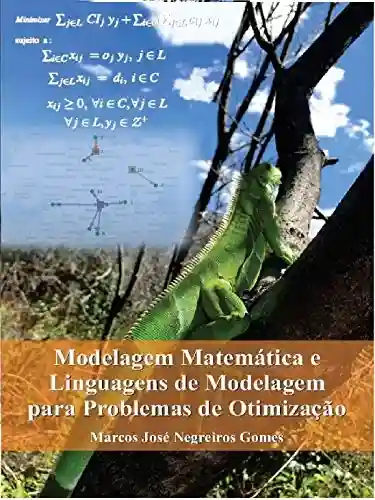 Livro PDF: Modelagem Matemática e Linguagens de Modelagem para Problemas de Otimização